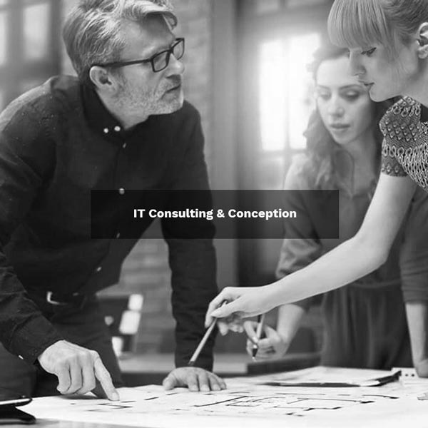 IT Consulting & Conception